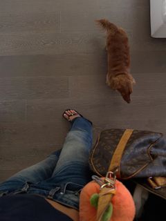 Klara Hellqvist feet photo 16