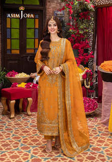 Komal Meer feet photo 3