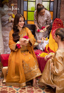 Komal Meer feet photo 19