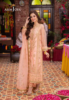 Komal Meer feet photo 10