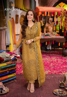 Komal Meer feet photo 19