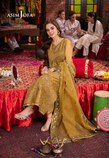 Komal Meer feet photo 15