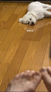 Konomi Naito feet photo 2