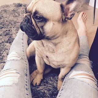 Kosovare Asllani feet photo 12