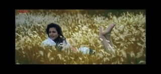 Koyel Mallick feet photo 6