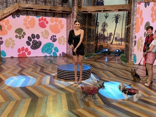 Kristal Silva feet photo thumbnail