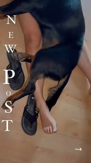 Kristen StephensonPino feet photo 13