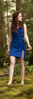 Kristen Stewart feet photo thumbnail