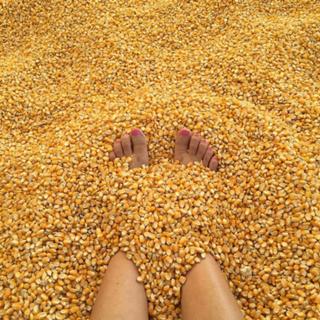 Kristi Yamaguchi feet photo 14