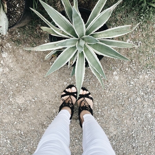 Kristin Cavallari feet photo thumbnail