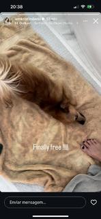 Kristin Davis feet photo thumbnail