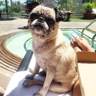 Kristine Leahy feet photo thumbnail