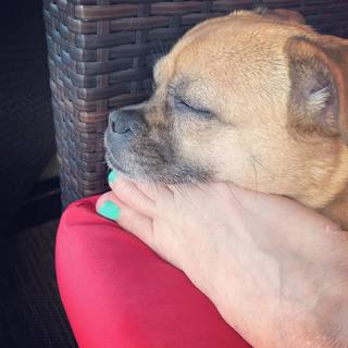 Kristy Swanson feet photo thumbnail