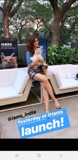 Kriti Sanon feet photo thumbnail