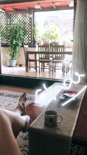 Kritika Kamra feet photo 17