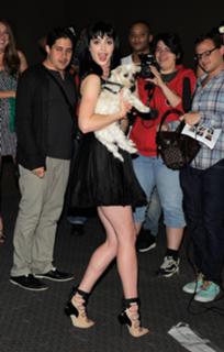 Krysten Ritter feet photo thumbnail