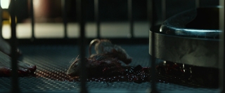 Ksenia Solo feet photo thumbnail