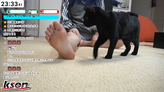 Kson feet photo thumbnail