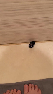 Kson feet photo thumbnail