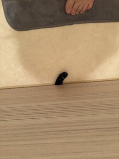 Kson feet photo thumbnail