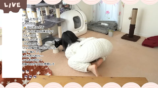 Kson feet photo thumbnail