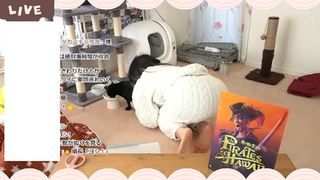 Kson feet photo thumbnail