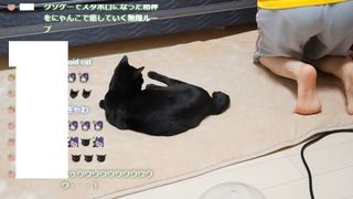 Kson feet photo thumbnail