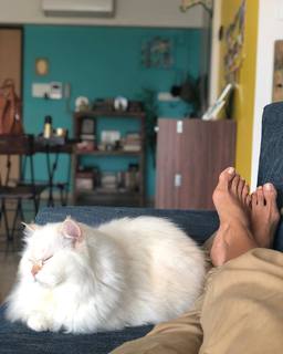 Kubbra Sait feet photo 4