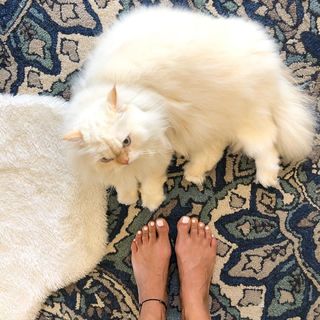 Kubbra Sait feet photo 18