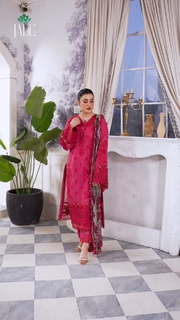 Kubra Khan feet photo 6