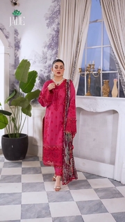 Kubra Khan feet photo 2