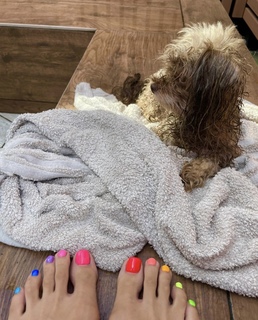 Kumi Koda feet photo 18