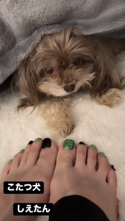 Kumi Koda feet photo 19