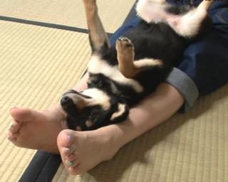 Kyary Pamyu Pamyu feet photo 19