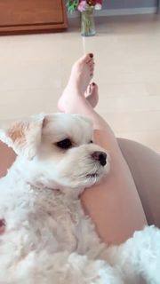 Kyary Pamyu Pamyu feet photo 14