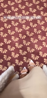 Kyla Pratt feet photo thumbnail