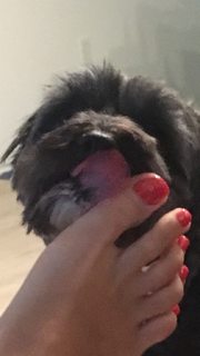 Kyle Unfug feet photo thumbnail