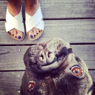Kylie Gillies feet photo 5