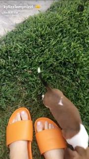Kylie Jenner feet photo thumbnail