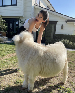 Kylie Jenner feet photo thumbnail