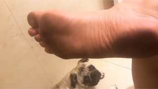 Kéfera Buchmann feet photo thumbnail