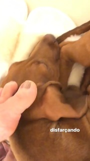Kéfera Buchmann feet photo thumbnail