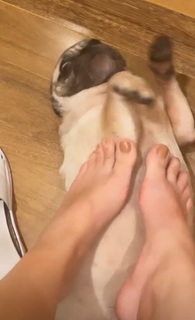Kéfera Buchmann feet photo thumbnail