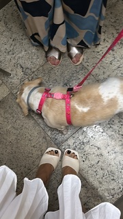 Kéfera Buchmann feet photo thumbnail