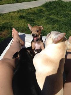 Lacey Schwimmer feet photo 16