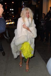 Lady Gaga feet photo thumbnail