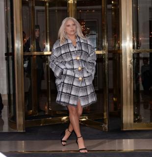 Lady Gaga feet photo thumbnail