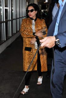 Lady Gaga feet photo thumbnail