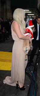 Lady Gaga feet photo thumbnail