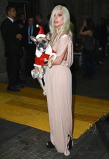 Lady Gaga feet photo thumbnail